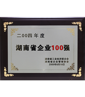 湖南省企業(yè)100強