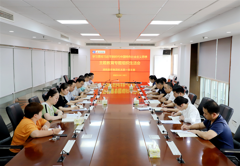 20230918345846.jpg 王術(shù)飛參加專題組織生活會__副本.jpg