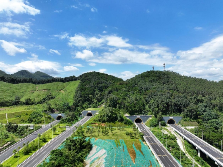 20250917138489.jpg 桂柳4標(biāo).jpg